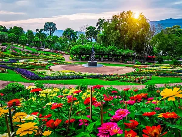 Floral & Garden prompts featured image